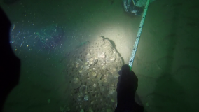 Austern werden in ca. 30 Metern Wassertiefe in abbaubaren Netzen am Nordseeboden ausgebracht