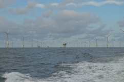 Windräder in einem Windpark der Nordsee