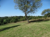 Das Foto zeigt eine typische Weidelandschaft in einem Hangbereich. Auf der Weide sind zwei alte Streuobstbäume zu sehen. Der gegenüberliegende Hang ist stärker mit Bäumen Strauchgehölzen bestanden. Im Hintergrund ist eine Siedlung zu sehen. 
