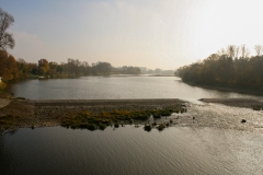Strukturreiche Flussufer bieten Schutz für die Jungstöre