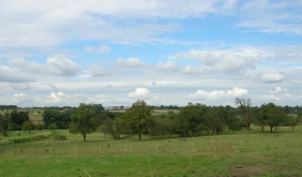 Das Foto zeigt einen Landschaftsausschnitt des Bliesgaus mit seinen häufig vorkommenden Streuobst und Grünlandflächen an den Ortsrandlagen