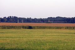 Agrarlandschaft zwischen Hoyerswerda und Lauta (Foto: Christof Martin)