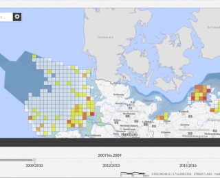 Screenshot Kartenanwendung - Populationsentwicklung von Seevögeln im 3-Jahresraster