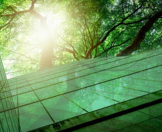 Glass facade of a building and treetops