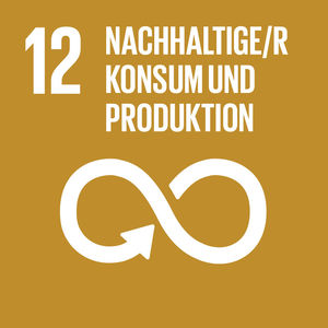Auf der Abbildung ist das Logo für das zwölfte globale Nachhaltigkeitsziel "Nachhaltiger Konsum und Produktion" abgebildet