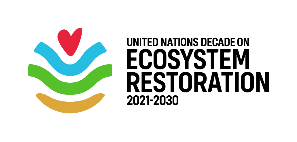 Logo der United Nations Decade on Ecosystem Restoration 2021-2030