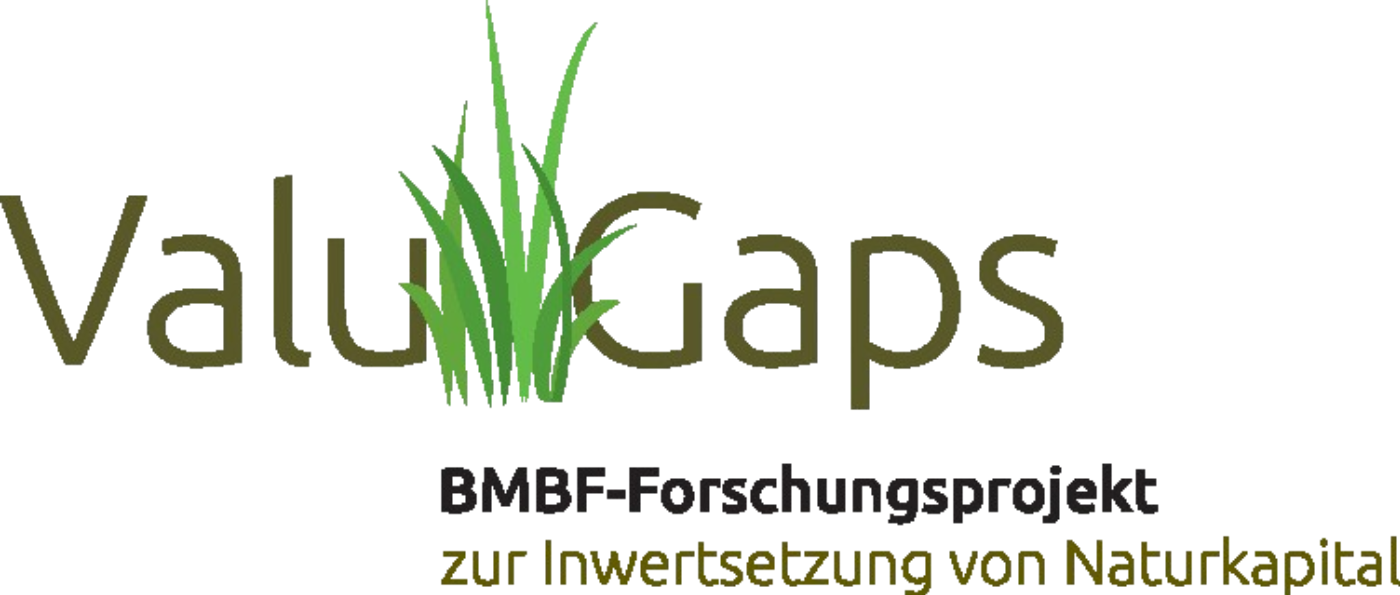 Die Abbildung zeigt das Logo von ValuGaps