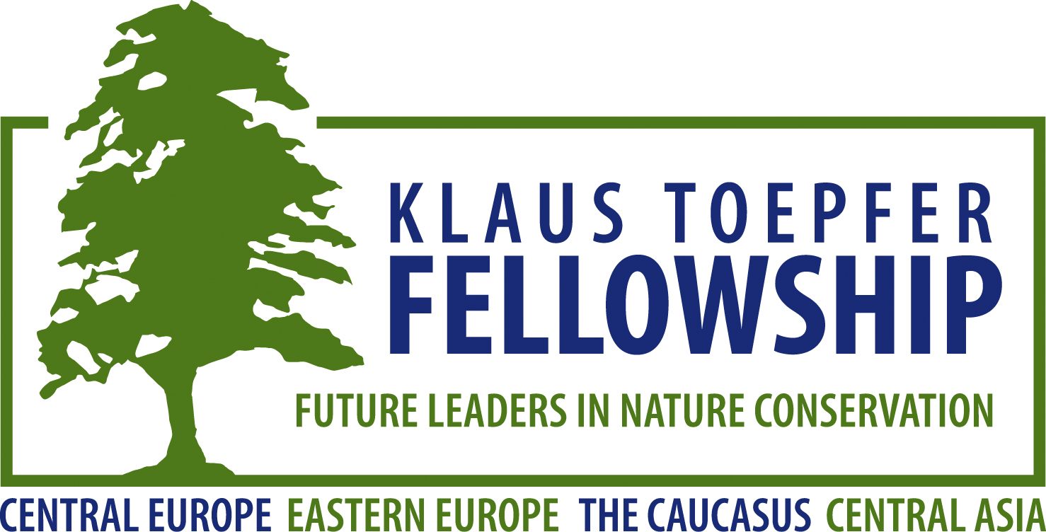 Logo Klaus Töpfer Fellowship