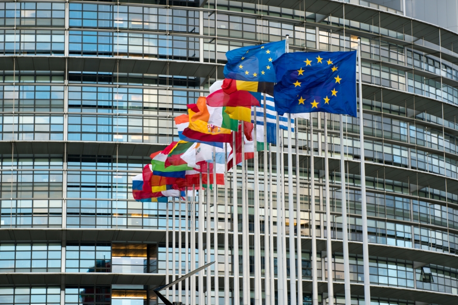 Wiederherstellungsverordnung - Verordnung (EU) 2024/1991 des Europäischen Parlaments und des Rates vom 24. Juni 2024 über die Wiederherstellung der Natur und zur Änderung der Verordnung (EU) 2022/869