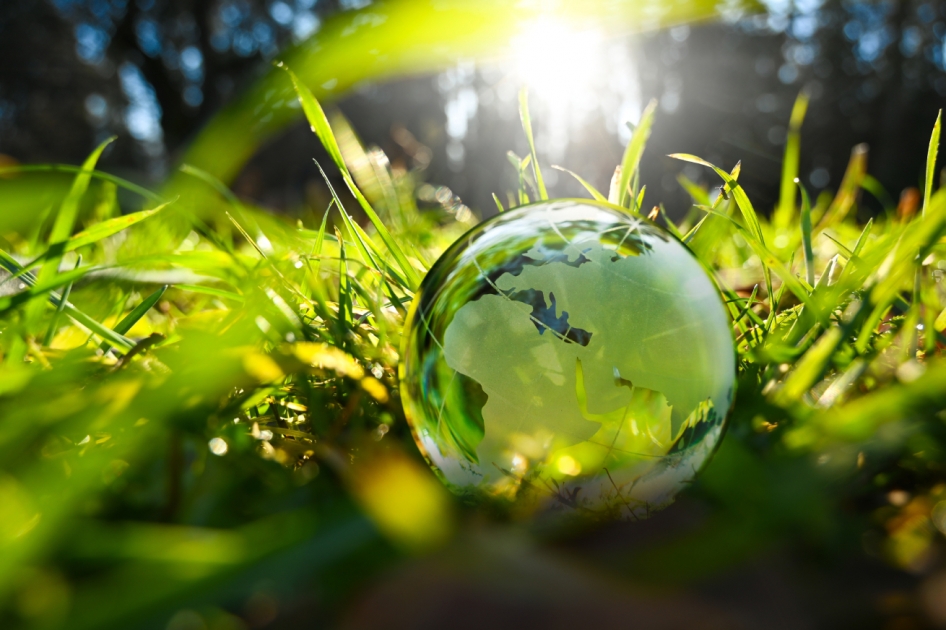EU Nature Restoration Law BfN