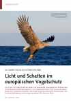 Seeadler profitieren wie viele andere Greifvogelarten durch den viel besseren Schutz seit Inkrafttreten der Vogelschutzrichtlinie.