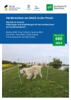 Cover von BfN-Schriften 688; Titelfoto: Herdenschutzhund hinter elektrifiziertem Netz auf einem Deich (Peter Schütte)