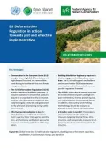 Cover BFN Policy Brief: EU Deforestation Regulation in action: Towards just and effective implementation