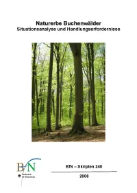 Titelcover Skript 240