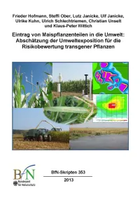 Titelcover Skript 353