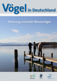 Wasservogelzähler am Stranberger See