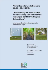 Deckblatt des Vilmer Expertenworkshops Teil 1 2013