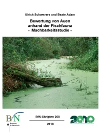 Titelcover Skript 268