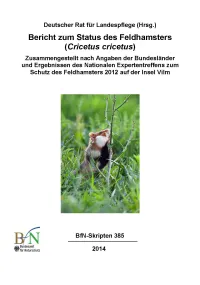 Titelcover Skript 385