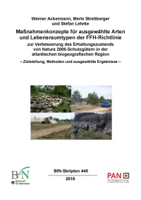 Titelcover Skript 449