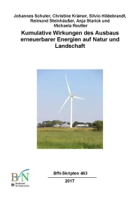 Titelcover Skript 463