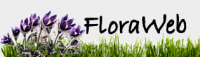 Logo Floraweb