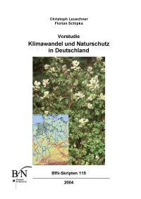 Titelcover Skript 115