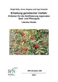 Titelcover Skript 208