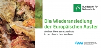 Cover Die Wiederansiedlung der Europäischen Auster