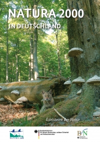 Cover der Broschüre Natura 2000 in Deutschland mit einer Wildkatze im Buchenwald