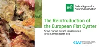 Cover The Reintroduction of the European Flat Oyster