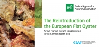 Cover The Reintroduction of the European Flat Oyster