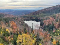 herbstlich bunt gefärbter Wald am Rachel im Nationalpark Bayerischer Wald