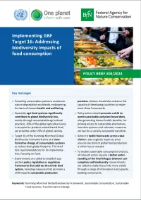 Cover BFN Policy Brief: Implementing GBF Target 16