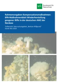 Covewr Broschüre geogene Riffe in der deutschen AWZ der Nordsee