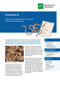 Cover Nutzung von Regenwürmern als Zeiger guter Bodenfruchtbarkeit