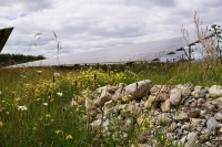 Freiflächensolaranlage mit verschiedenen Elementen zur Förderung der Biodiversität (Steinhaufen, Blühwiese)