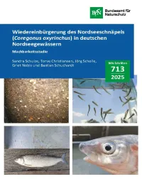 Cover von BfN-Schriften 713; Titelbild: Schnäpel in verschiedenen Lebensstadien (Fotos: S. Schulze und T. Jäger-Kleinicke)