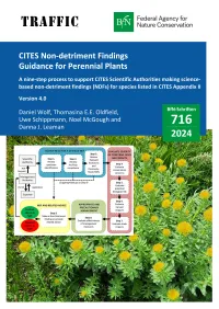 Cover von BfN-Schriften 716; Titelbild: Rhodiola rosea plant (Mauriennes, France) (© A. Horellou) and Nine-step pathway for making Non-Detriment Findings for perennial plant species listed in CITES Appendix II