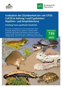 Cover von BfN-Schriften 739; Titelbild: Porträts einiger Amphibien- und Reptilienarten, die in diesem Dokument besprochen wurden. Angaben zu Bildrechten entnehmen Sie bitte der Publikation