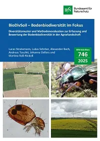 Cover von BfN-Schriften 746; Titelbild: Oben links: Vertikalansicht auf eine Untersuchungsfläche (Grafik: L. Stratemann), Oben rechts: Carabide im Porträt (Grafik: A. Toschki), Unten links: Oribatide unter dem Mikroskop (Grafik: A. Toschki), Unten rechts: Blühendes Rapsfeld (Grafik: L. Stratemann)