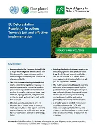 Cover BFN Policy Brief: EU Deforestation Regulation in action: Towards just and effective implementation