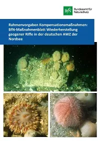 Cover der Broschüre: Rahmenvorgaben Kompensationsmaßnahmen: BfN-Maßnahmenblatt Wiederherstellung geogener Riffe in der deutschen AWZ der Nordsee