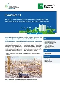 Cover Praxisinfo 13: Bewertung der Auswirkungen von Windenergieanlagen der neuen Generation auf das Kollisionsrisiko von Fledermäusen