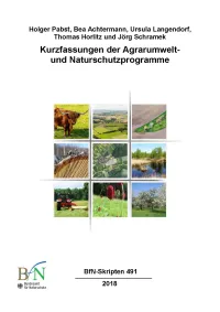 Titelblatt Skript 491