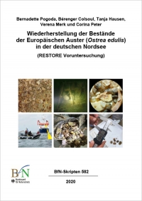 Titelbild Wiederherstellung der Bestände der Europäischen Auster (Ostrea edulis) in der deutschen Nordsee