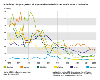 Diagramm Anlandungen (Fangmengen) der wichtigsten in Bodennähe lebenden Nutzfischarten in der Nordsee