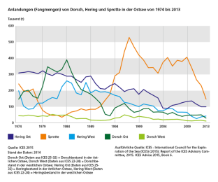 Diagramm Anlandungen (Fangmengen) von Dorsch, Hering und Sprotte in der Ostsee von 1974 bis 2013