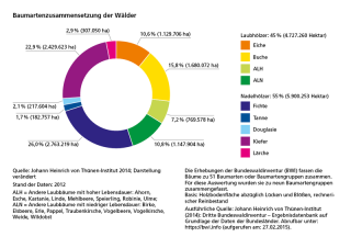 Diagramm Baumartenzusammensetzung der Wälder