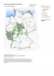 Karte Verbreitung der Wildkatze in Deutschland
